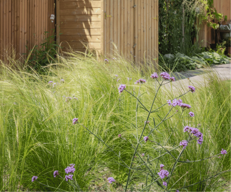 Achtertuin met prachtige groene beplanting